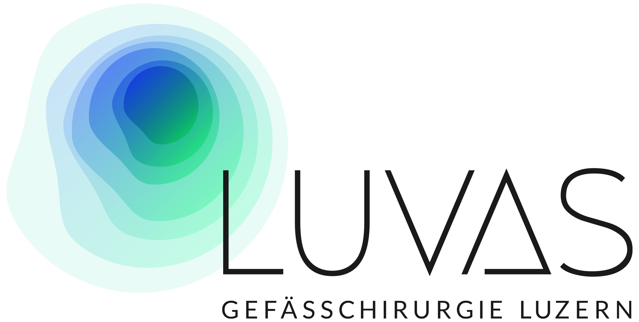 LUVAS Gefässchirurgie Luzern